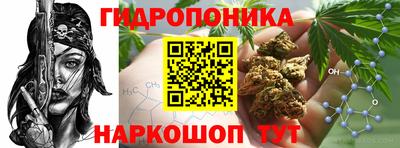 эйфоретик Дубна