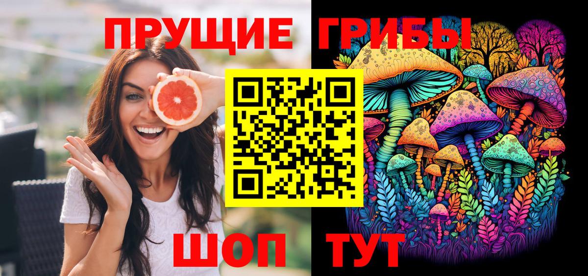 Псилоцибиновые грибы Cubensis Минеральные Воды