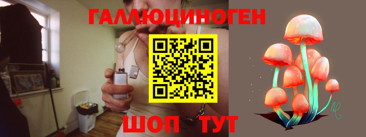 Псилоцибиновые грибы Psilocybine cubensis  Псилоцибиновые грибы прущие грибы  Минеральные Воды  Вход с VPN 